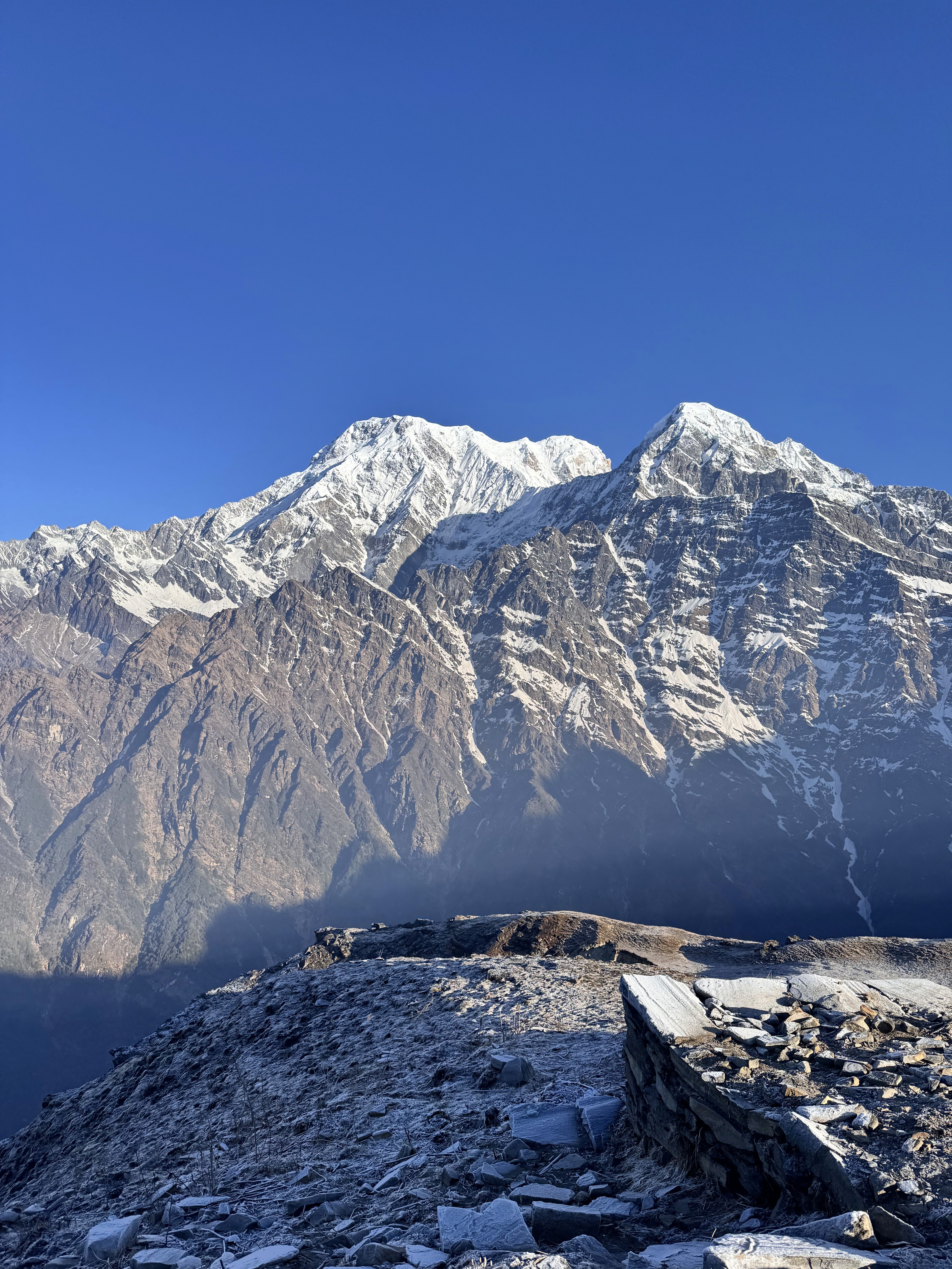 Snow-capped Langtang peaks from a high viewpoint